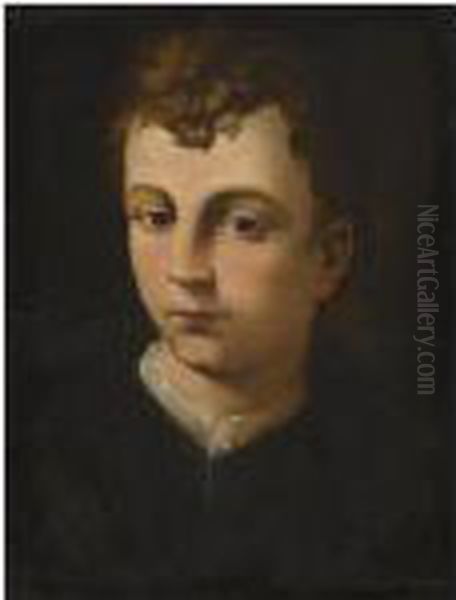 Portrait Of A Boy, Head And Shoulders, Wearing A Black Coat With A White Collar Oil Painting by Agnolo Bronzino