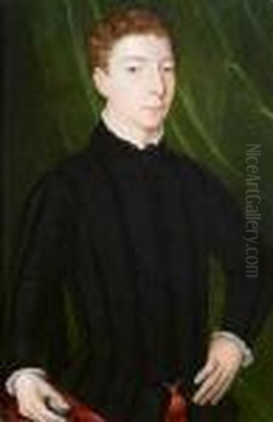 Portrait Of A Young Gentleman,half-length Oil Painting by Agnolo Bronzino