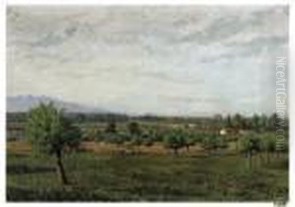 Campagna Piemontese Oil Painting by Guido Di Montezemolo