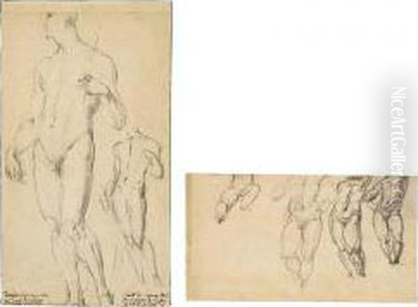 Two Studies Of A Male Nude Oil Painting by Giovanni Antonio Sogliani