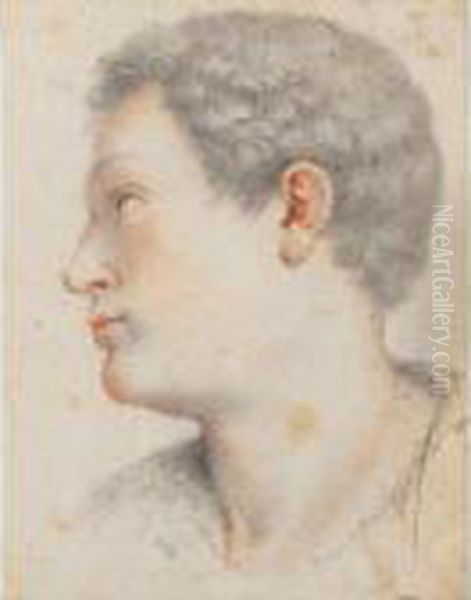 Tete De Jeune Homme De Profil Oil Painting by Santi Di Tito