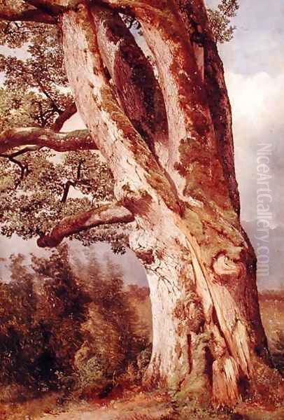 The Oak Oil Painting by Alexandre Calame