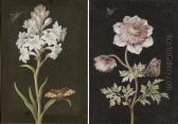 A Hyacinth With A Moth; And A Scabious With A Painted Lady Oil Painting by Barbara Regina Dietzsch