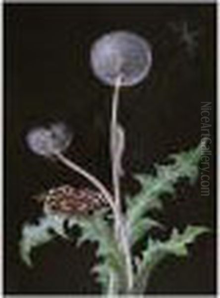 A Dandelion With A Butterfly And A Caterpillar Oil Painting by Barbara Regina Dietzsch