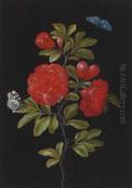 Still Life Of A Rose And Butterflies Oil Painting by Barbara Regina Dietzsch