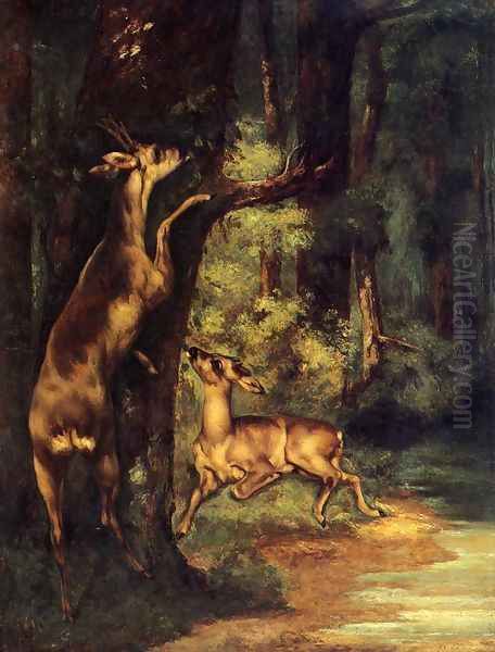 Male and Female Deer in the Woods Oil Painting by Gustave Courbet