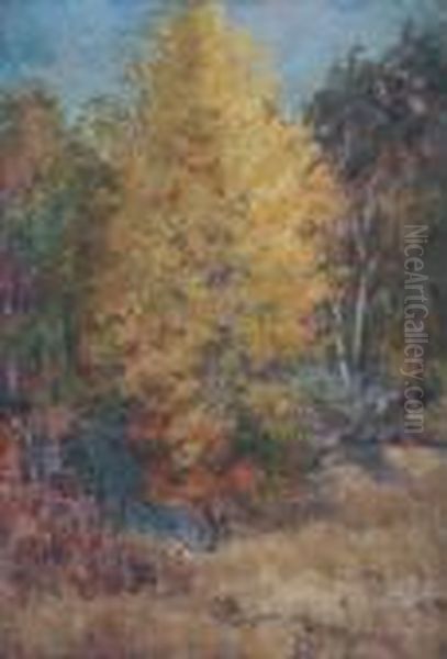 Yellow Maple. Oil Painting by Mary Ella Williams Dignam