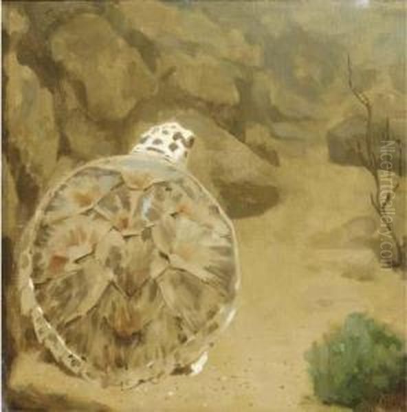 A Turtle Oil Painting by Gerrit Willem Dijsselhof