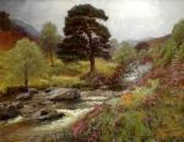 Fir Tree Pool, Cononish River Tyndrum Oil Painting by Alexander Brownlie Docharty