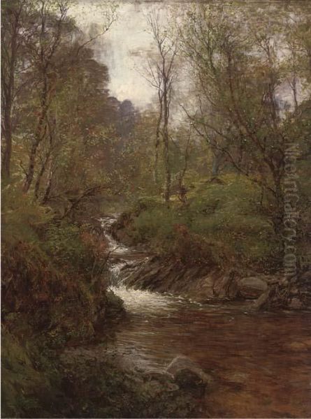 A Wooded Stream Oil Painting by Alexander Brownlie Docharty