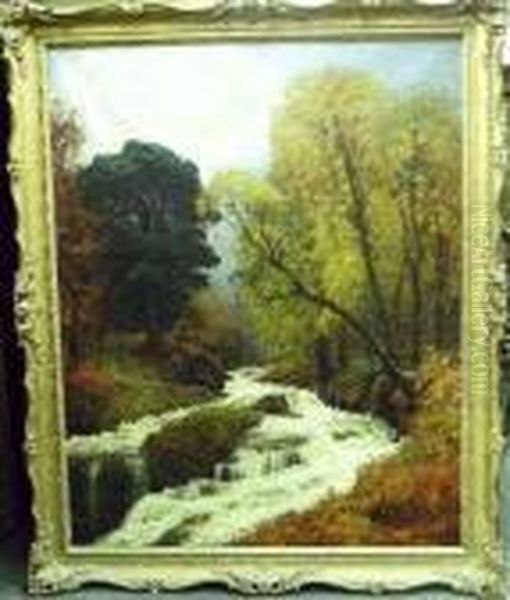 Woodland Stream, Autumn Oil Painting by Alexander Brownlie Docharty