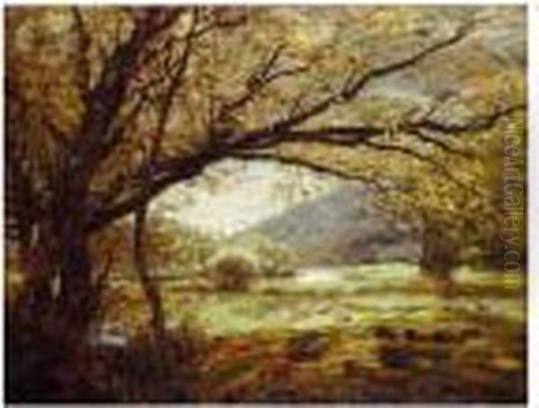 Grazing Sheep In A Pasture Oil Painting by Alexander Brownlie Docharty