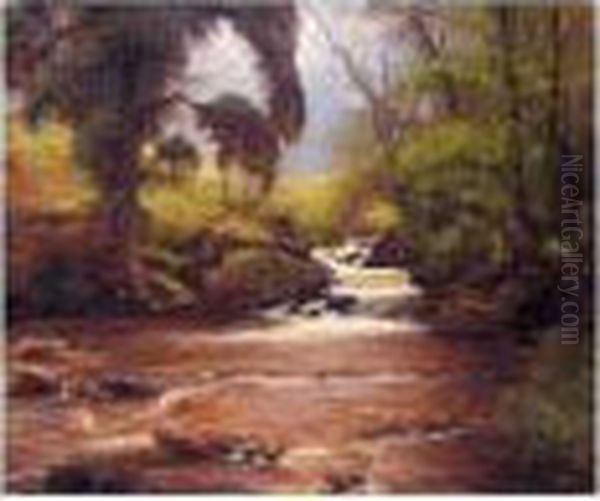 A Woodland Stream Oil Painting by Alexander Brownlie Docharty