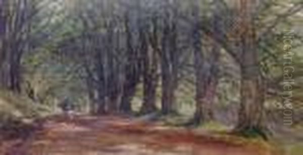 Beech Avenue, Inverary Castle Oil Painting by James Docharty