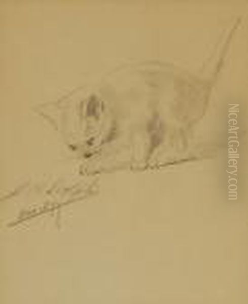 Sketch Of A Kitten Oil Painting by John Henry Dolph