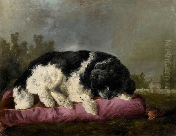 A Portrait Of The Artist's Dog Asleep Oil Painting by Francisco Domingo Marques