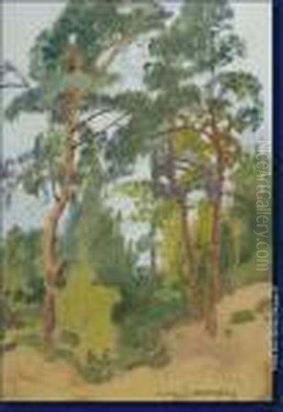 Le Bois De Pins Oil Painting by Auguste Donnay