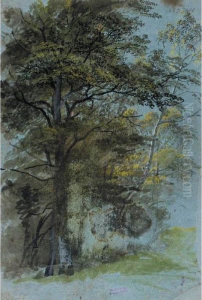 Recto: Study Of A Clump Of Trees Oil Painting by Johann Jakob Ii Dorner