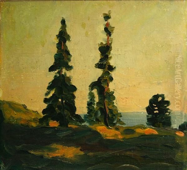 Trees In A Landscape Oil Painting by Paul Dougherty