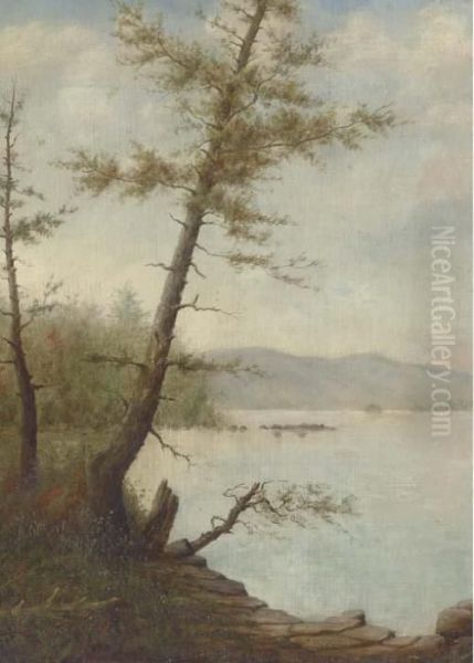 Along The Lake Shore Oil Painting by Thomas Doughty