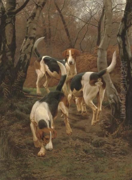 Hounds In Bracken Oil Painting by Edward Algernon Stuart Douglas