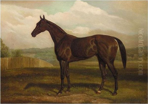 Study Of A Bay Horse Oil Painting by Edward Algernon Stuart Douglas