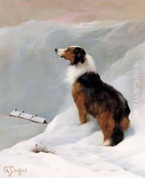 Collie In The Snow Oil Painting by Edwin Douglas