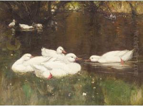 Duck On A Pond Oil Painting by Patrick Downie