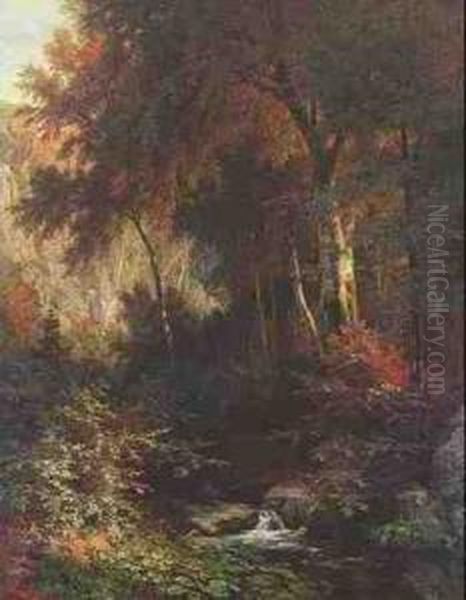 Waldinneres Mit Bachlauf Oil Painting by Adolf Dressler