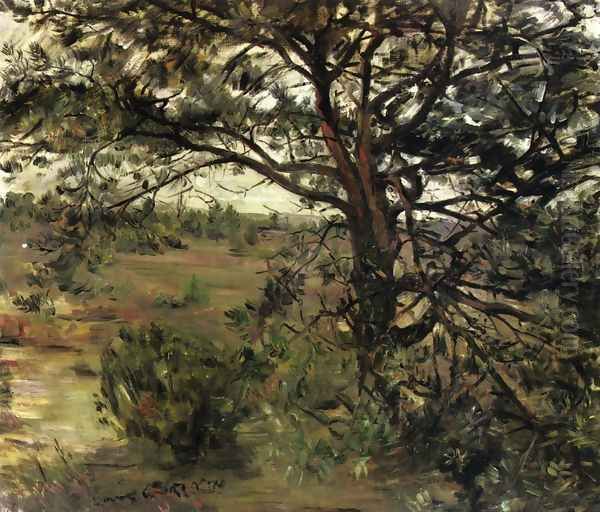 Luneberger Heide Oil Painting by Lovis (Franz Heinrich Louis) Corinth