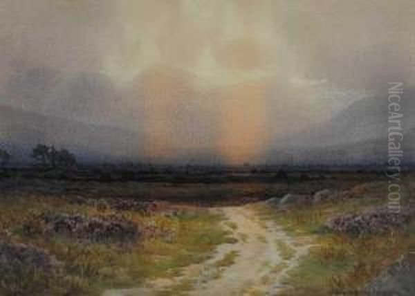 Bog Sunset, Possibly County Kerry Oil Painting by George, Captain Drummond-Fish