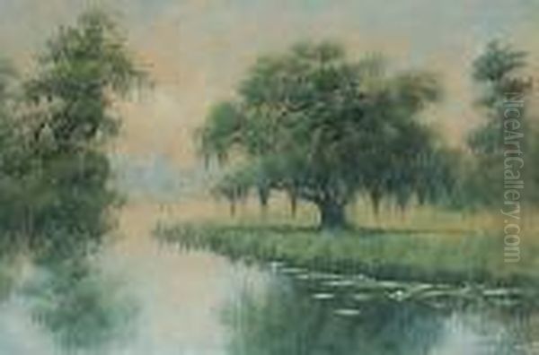 Louisiana Bayou Oil Painting by Alexander John Drysdale