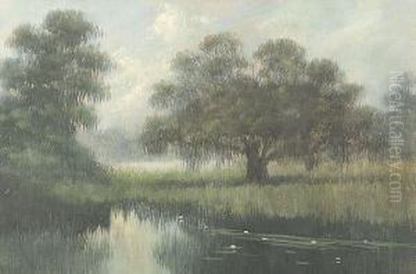 Louisiana Bayou Oil Painting by Alexander John Drysdale