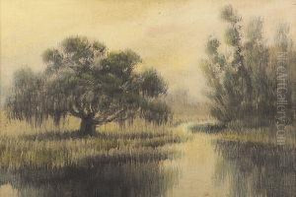 Louisiana Bayou Oil Painting by Alexander John Drysdale