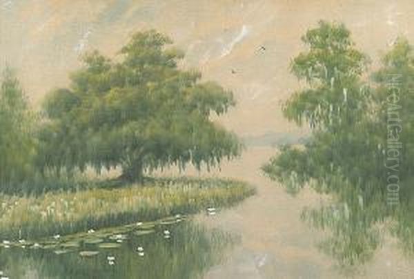 Louisiana Bayou Oil Painting by Alexander John Drysdale