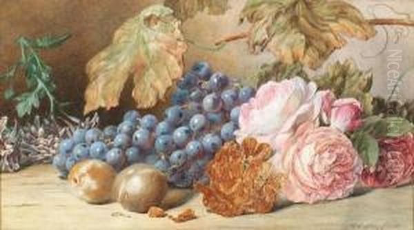 Still Life Of Roses, Grapes And Plums On A Ledge Oil Painting by Mary Elizabeth Duffield