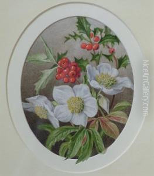 Botanical Study Oil Painting by Mary Elizabeth Duffield