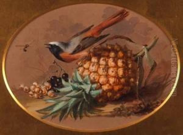 Still Life Study Of Bird, Wasp, Pineapple And Berries On A Bank Oil Painting by William Duffield