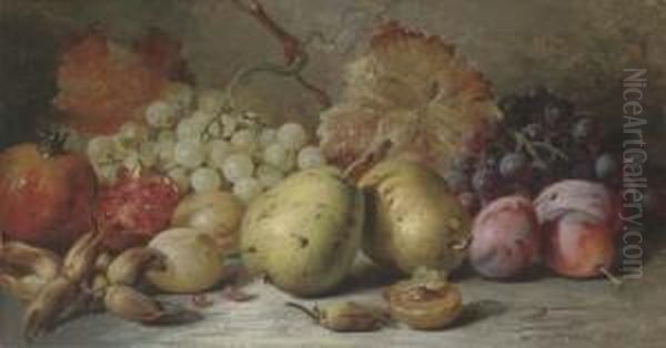 Pears, Plums, Grapes, Pomergranites And Hazelnuts Oil Painting by William Duffield