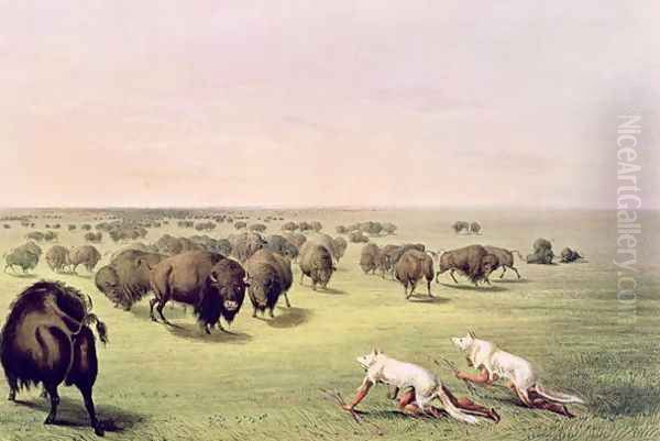 Hunting Buffalo Camouflaged with Wolf Skins, c.1832 Oil Painting by George Catlin