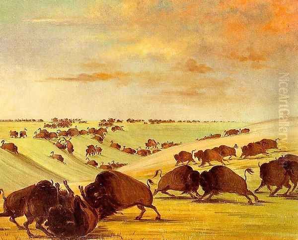 Buffalo Bulls Fighting in Running Season, Upper Missouri, 1837-39 Oil Painting by George Catlin