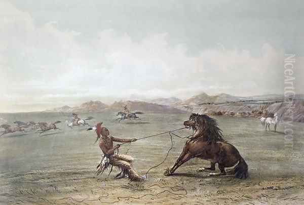 Catching Wild Horses on the Plains Oil Painting by George Catlin