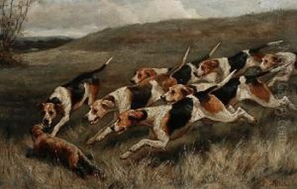 Hounds And Quarry Before The Kill Oil Painting by Alfred Duke