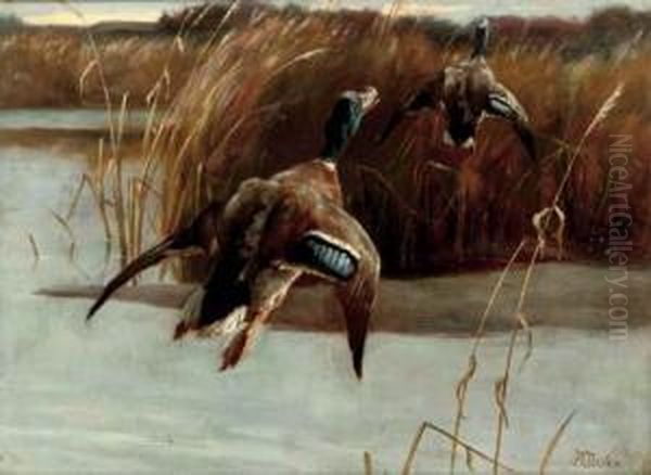 Taking Flight Oil Painting by Alfred Duke