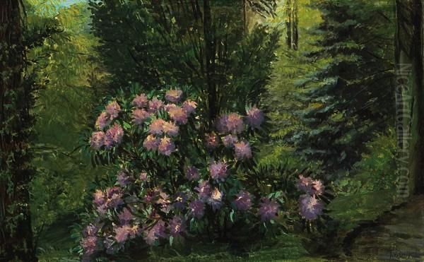 Pink Rhododendron by Frank Vincent Dumond