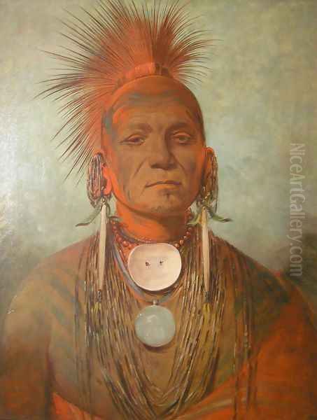 See-non-ty-a, an Iowa Medicine Man Oil Painting by George Catlin