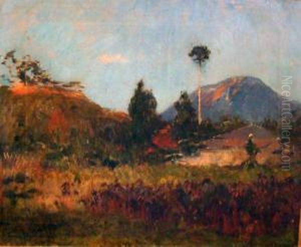 Vue De Mafat Volcan Piton De La Fournese, Reunion Oil Painting by Louis Dumoulin