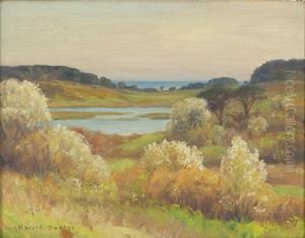 Meadows And The Sea In Spring, West Chatham Oil Painting by Harold C. Dunbar