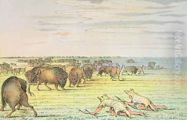 Stalking buffalo Oil Painting by George Catlin