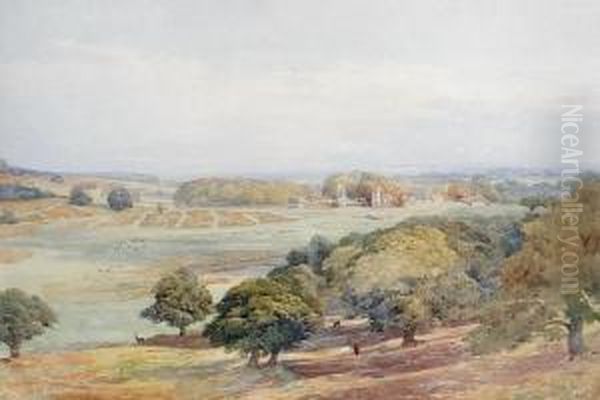 Bradgate Park, Leicestershire Oil Painting by Edward R.W.S Duncan